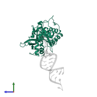 Endoribonuclease Dicer in PDB entry 4ngg, assembly 1, side view.