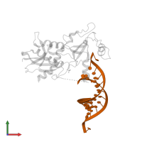 5'-R(*AP*GP*CP*GP*AP*AP*UP*UP*CP*GP*CP*UP*U)-3' in PDB entry 4ngg, assembly 1, front view.