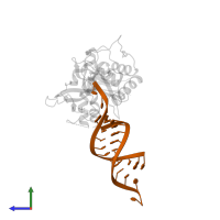 5'-R(*AP*GP*CP*GP*AP*AP*UP*UP*CP*GP*CP*UP*U)-3' in PDB entry 4ngg, assembly 1, side view.