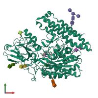 PDB entry 4ngq coloured by chain, front view.