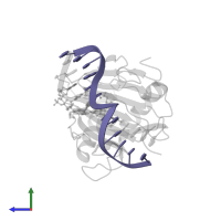 5'-D(*AP*AP*CP*GP*GP*TP*AP*TP*TP*AP*CP*CP*T)-3' in PDB entry 4nih, assembly 1, side view.