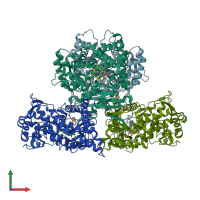 PDB entry 4nky coloured by chain, front view.