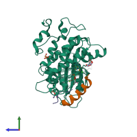PDB entry 4nm5 coloured by chain, side view.