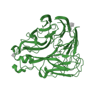 The deposited structure of PDB entry 4nn9 contains 1 copy of SCOP domain 50940 (Sialidases (neuraminidases)) in Neuraminidase. Showing 1 copy in chain A.