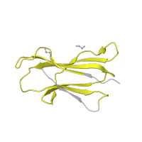 The deposited structure of PDB entry 4no5 contains 1 copy of Pfam domain PF07654 (Immunoglobulin C1-set domain) in Beta-2-microglobulin. Showing 1 copy in chain B.