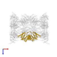 Proteasome subunit beta type-5 in PDB entry 4no9, assembly 1, top view.