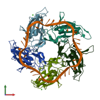 Crystal structure of the Deinococcus radiodurans single-stranded