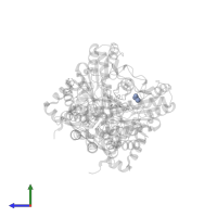 ACETATE ION in PDB entry 4nog, assembly 1, side view.