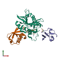 PDB entry 4nql coloured by chain, front view.