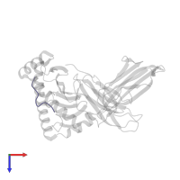 Nucleoprotein in PDB entry 4nqx, assembly 1, top view.