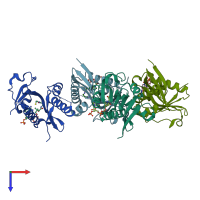PDB entry 4nsq coloured by chain, top view.