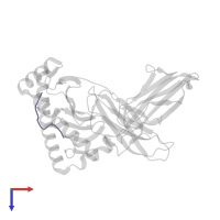 Matrix protein 1 in PDB entry 4nt6, assembly 1, top view.