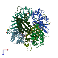 PDB entry 4ntm coloured by chain, top view.