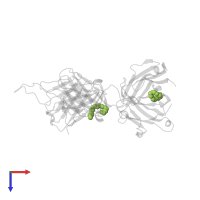 HEXAETHYLENE GLYCOL in PDB entry 4nug, assembly 1, top view.