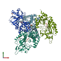 PDB entry 4nxu coloured by chain, front view.