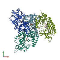 PDB entry 4nxv coloured by chain, front view.