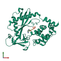 PDB entry 4nxw coloured by chain, front view.