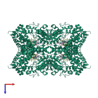 Homo tetrameric assembly 2 of PDB entry 4ny4 coloured by chemically distinct molecules, top view.