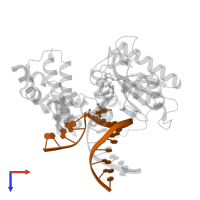 5'-D(*CP*CP*GP*AP*CP*(6OG)P*TP*CP*GP*CP*AP*TP*CP*AP*GP*C)-3' in PDB entry 4ny8, assembly 1, top view.