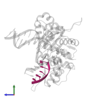 5'-D(P*GP*TP*CP*GP*G)-3' in PDB entry 4ny8, assembly 1, side view.