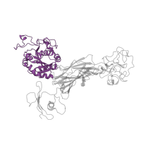 The deposited structure of PDB entry 4o02 contains 1 copy of CATH domain 3.40.50.410 (Rossmann fold) in Integrin beta-3. Showing 1 copy in chain B.