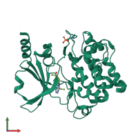 PDB entry 4o0y coloured by chain, front view.