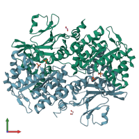 PDB entry 4o18 coloured by chain, front view.