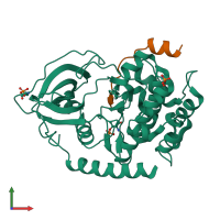 PDB entry 4o22 coloured by chain, front view.