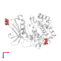 Modified residue SEP in PDB entry 4o22, assembly 1, top view.