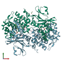 PDB entry 4o28 coloured by chain, front view.