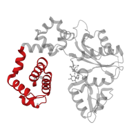 The deposited structure of PDB entry 4o5e contains 1 copy of CATH domain 1.10.150.110 (DNA polymerase; domain 1) in DNA polymerase beta. Showing 1 copy in chain A.