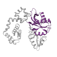 The deposited structure of PDB entry 4o5e contains 1 copy of CATH domain 3.30.460.10 (Beta Polymerase; domain 2) in DNA polymerase beta. Showing 1 copy in chain A.