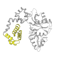 The deposited structure of PDB entry 4o5e contains 1 copy of Pfam domain PF14716 (Helix-hairpin-helix domain) in DNA polymerase beta. Showing 1 copy in chain A.