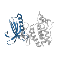 The deposited structure of PDB entry 4o6l contains 2 copies of CATH domain 3.30.200.20 (Phosphorylase Kinase; domain 1) in Dual specificity protein kinase TTK. Showing 1 copy in chain A.