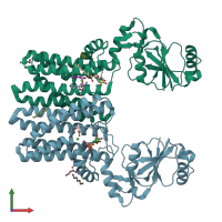 PDB entry 4o6n coloured by chain, front view.