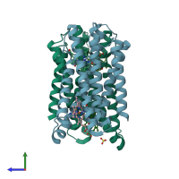 PDB entry 4o6y coloured by chain, side view.