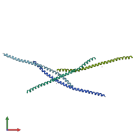 PDB entry 4o9b coloured by chain, front view.