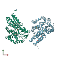 PDB entry 4oan coloured by chain, front view.