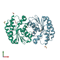 PDB entry 4oao coloured by chain, front view.