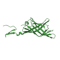 The deposited structure of PDB entry 4odb contains 3 copies of CATH domain 2.60.90.20 (Adenovirus Type 5 Fiber Protein (Receptor Binding Domain)) in Outer capsid protein sigma-1. Showing 1 copy in chain A.