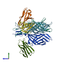 PDB entry 4odb coloured by chain, side view.