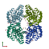 PDB entry 4oe7 coloured by chain, front view.