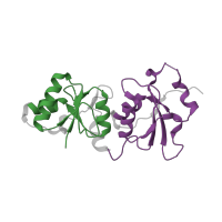 The deposited structure of PDB entry 4ofb contains 2 copies of Pfam domain PF00533 (BRCA1 C Terminus (BRCT) domain) in Breast cancer type 1 susceptibility protein. Showing 2 copies in chain A.