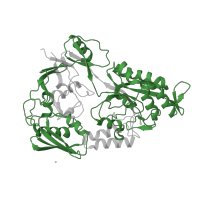 The deposited structure of PDB entry 4ofo contains 4 copies of Pfam domain PF00496 (Bacterial extracellular solute-binding proteins, family 5 Middle) in Solute-binding protein family 5 domain-containing protein. Showing 1 copy in chain A.