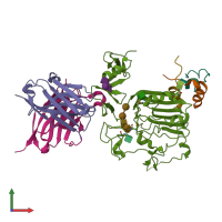 PDB entry 4oga coloured by chain, front view.