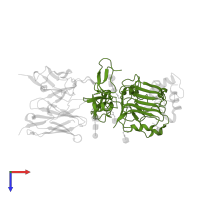 Insulin receptor subunit alpha in PDB entry 4oga, assembly 1, top view.