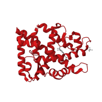 The deposited structure of PDB entry 4ogh contains 1 copy of CATH domain 1.10.565.10 (Retinoid X Receptor) in Androgen receptor. Showing 1 copy in chain A.