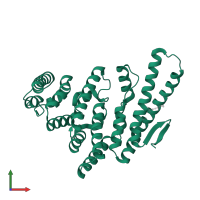 DNA topoisomerase 2-associated protein PAT1 in PDB entry 4ogp, assembly 2, front view.