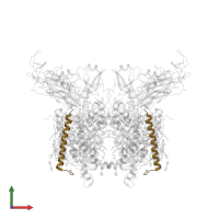 Cytochrome b6-f complex subunit 5 in PDB entry 4ogq, assembly 1, front view.