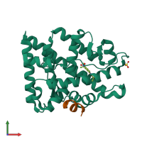 PDB entry 4oh5 coloured by chain, front view.